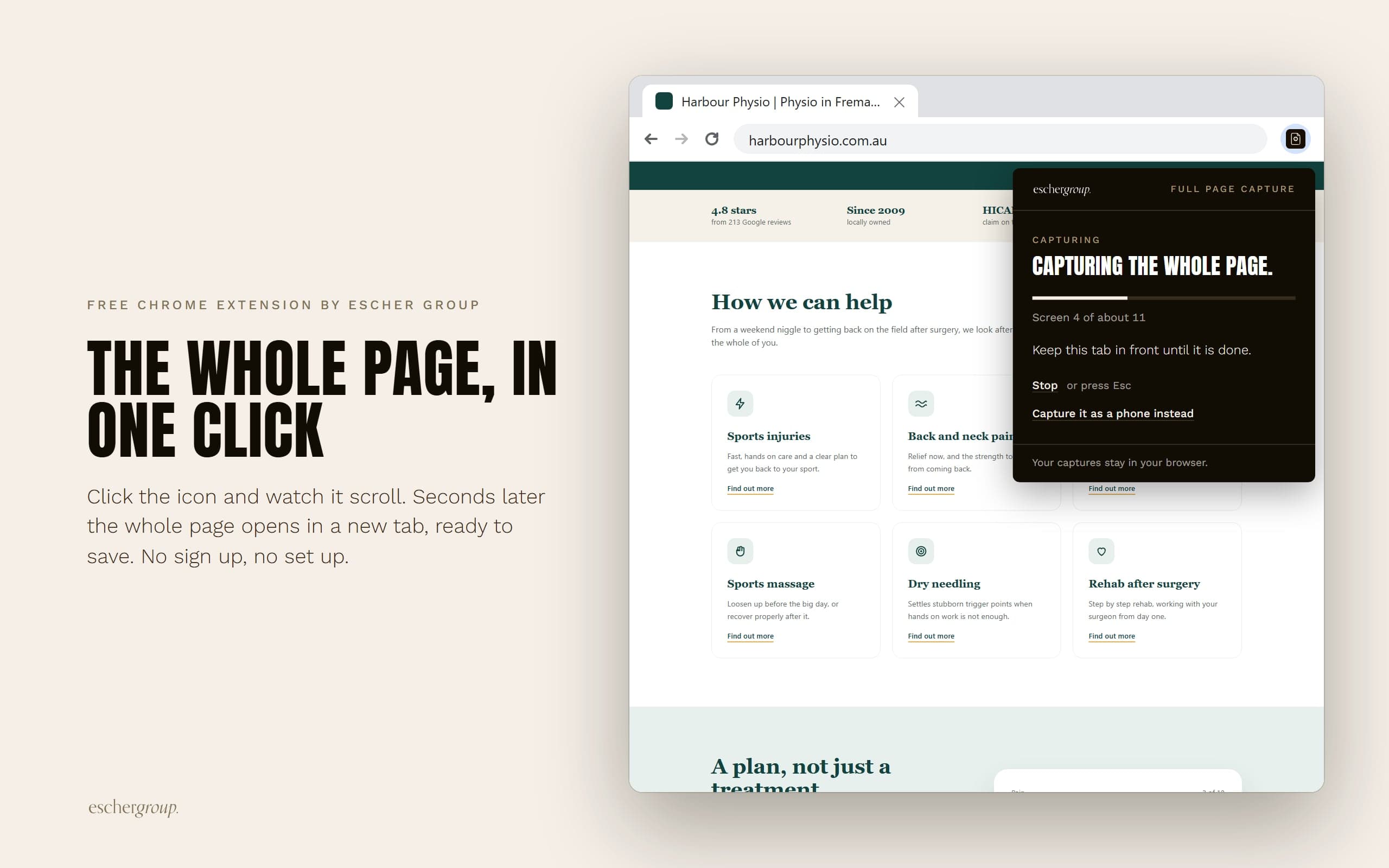 Full Page Capture: The whole page, in one click