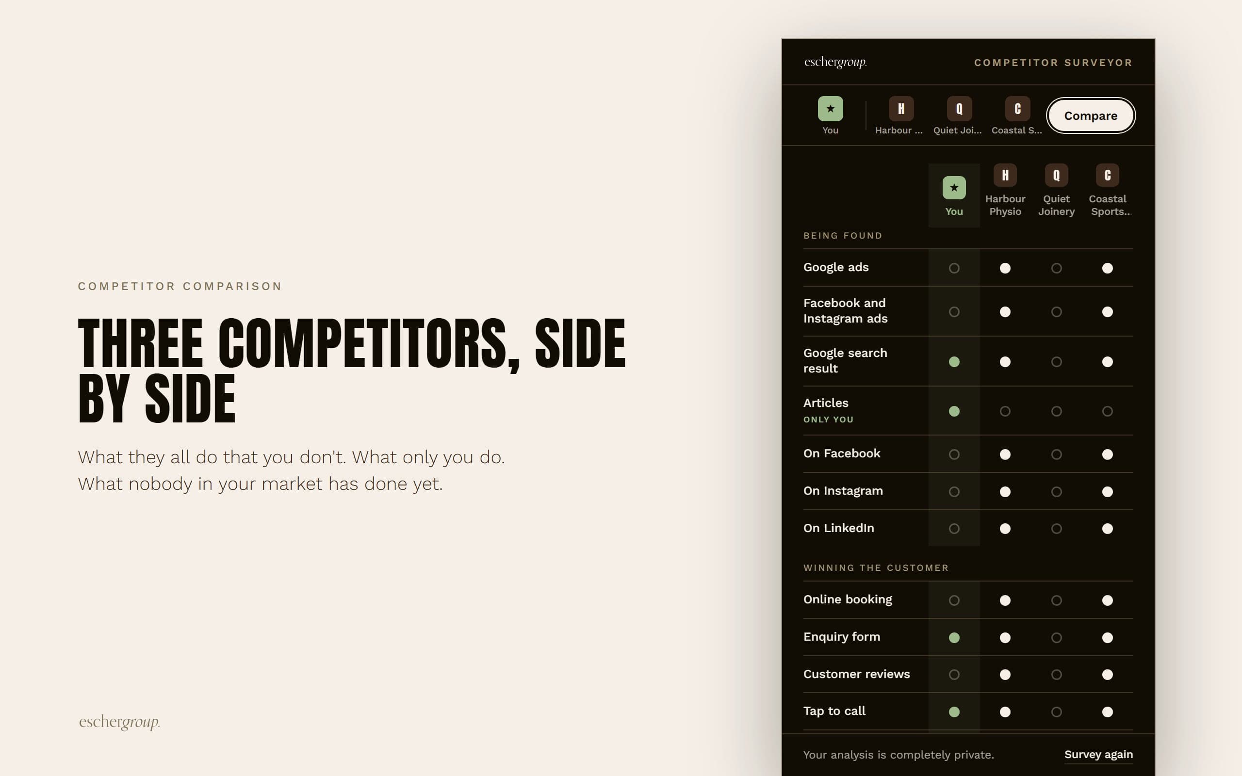 Competitor Surveyor: Three competitors, side by side