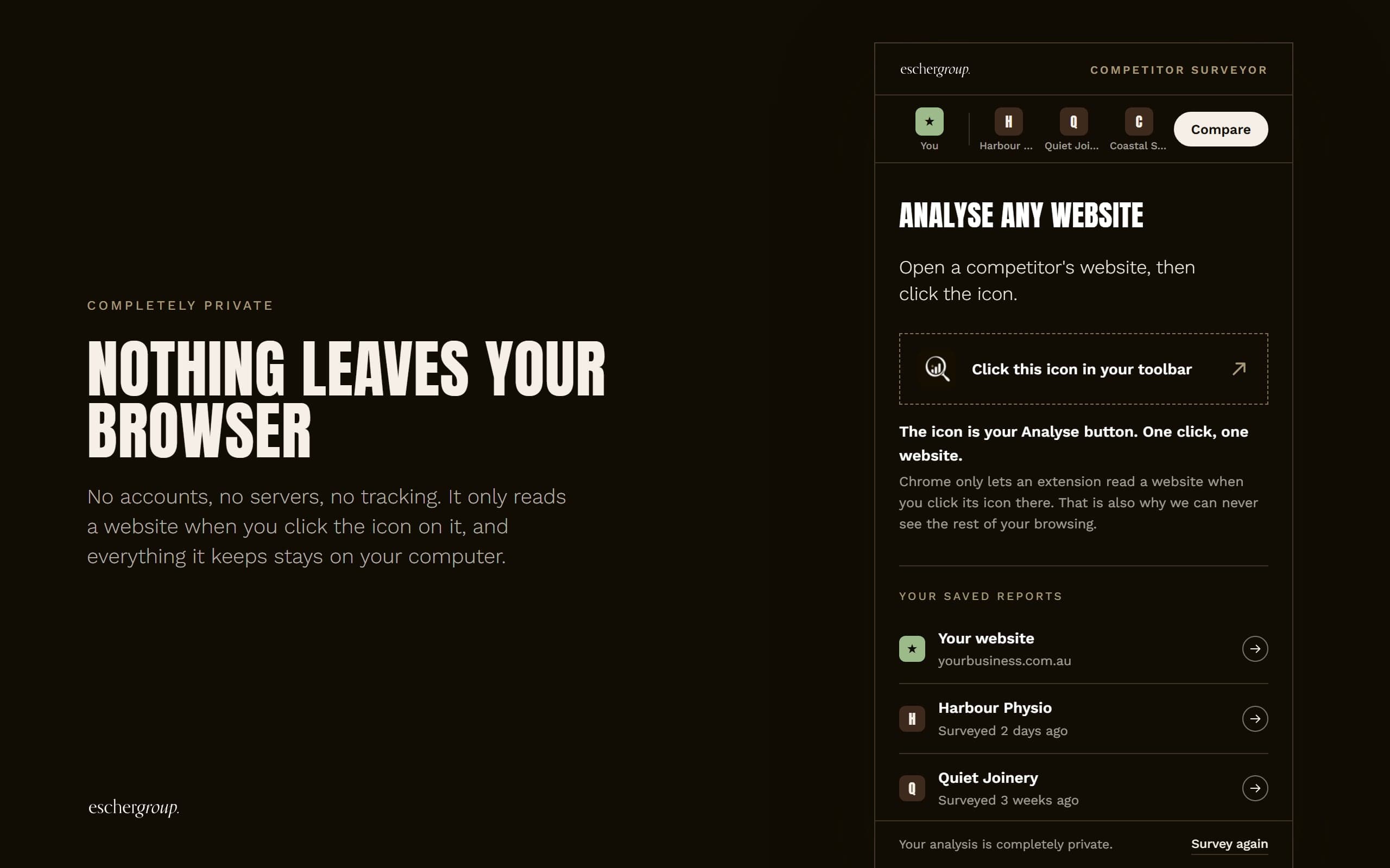 Competitor Surveyor: Nothing leaves your browser