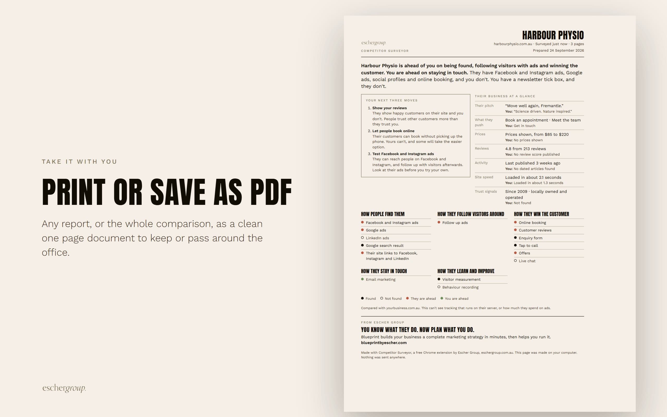 Competitor Surveyor: Print or save as PDF