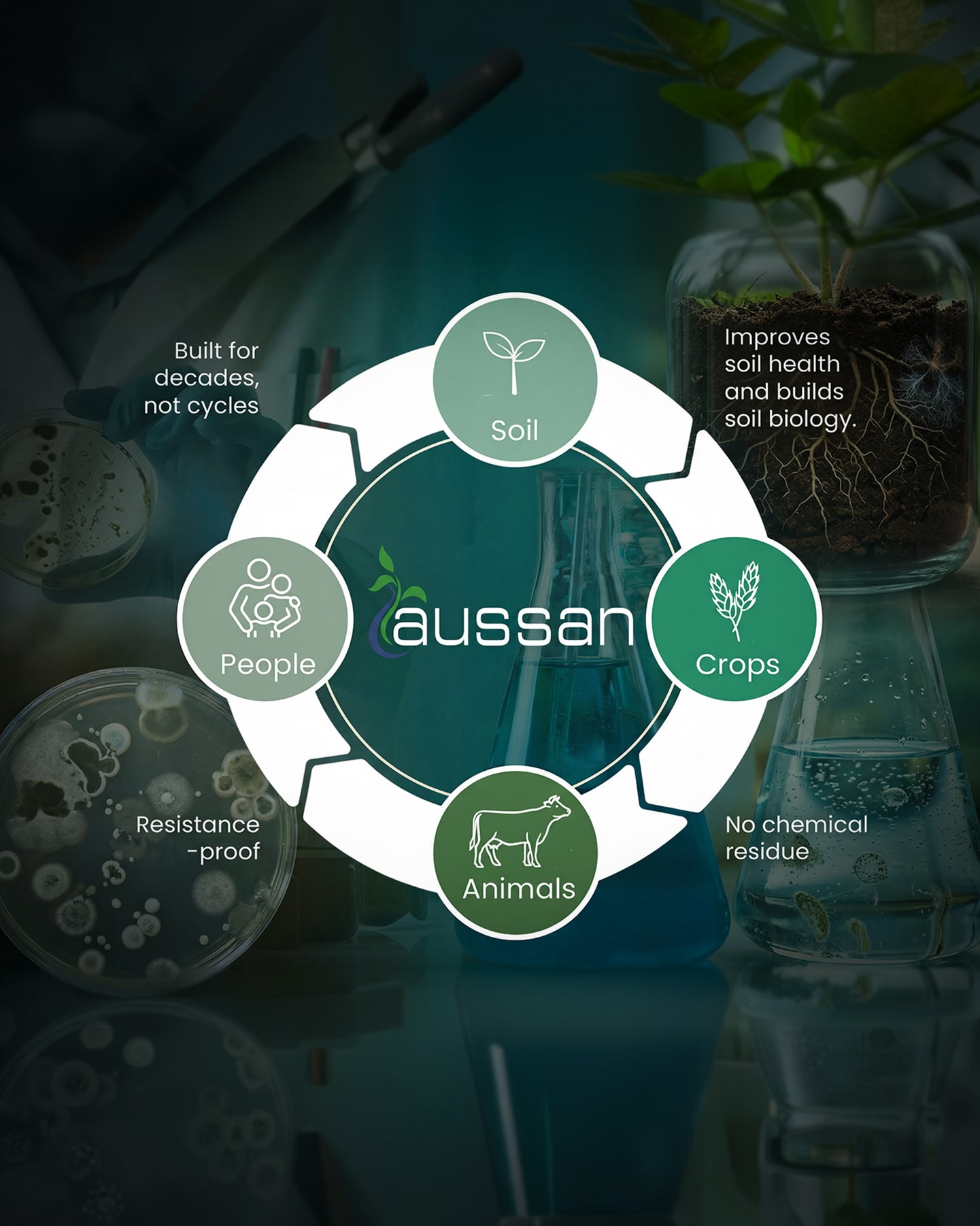 A diagram of the systems Aussan operates in: soil, crops, animals and people