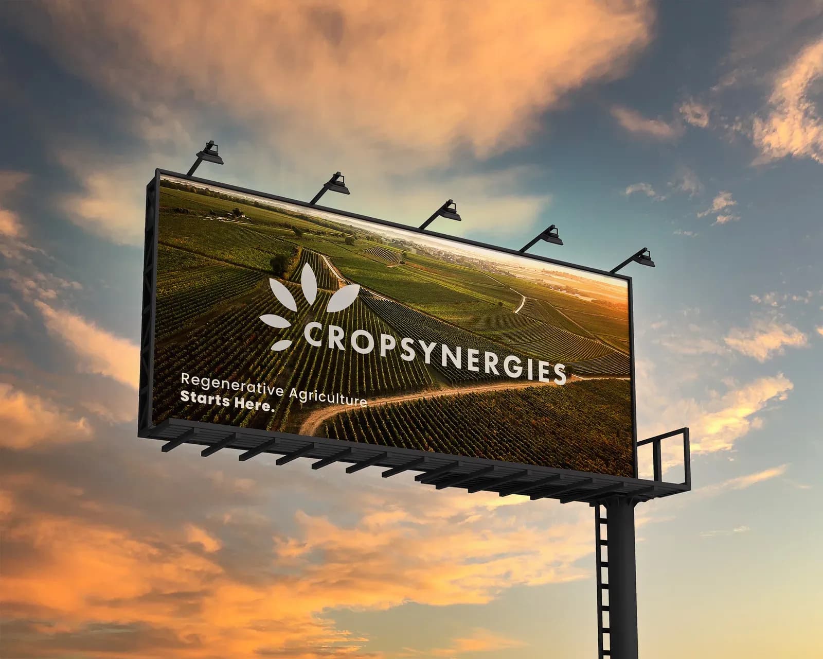 Crop Synergies, Agriculture